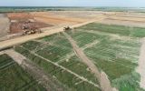 sitework